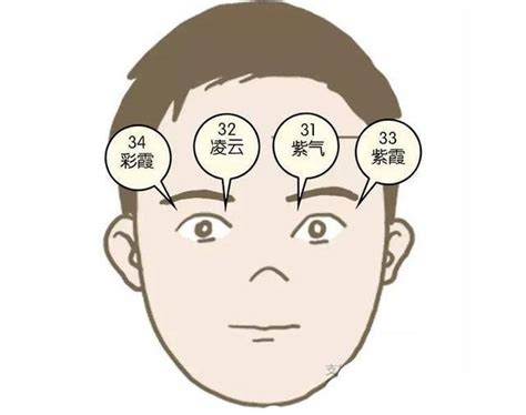 鬢角長面相|【面相風水鬢角】面相學從鬢角的頭髮看男人的性情運勢 